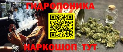 крисы Малгобек