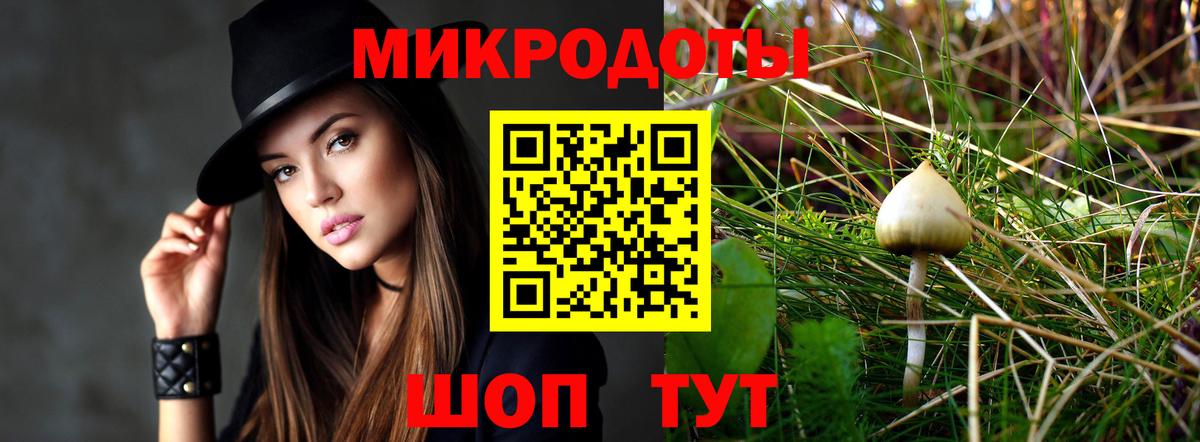 Галлюциногенные грибы Cubensis  Вход с VPN  Элиста 