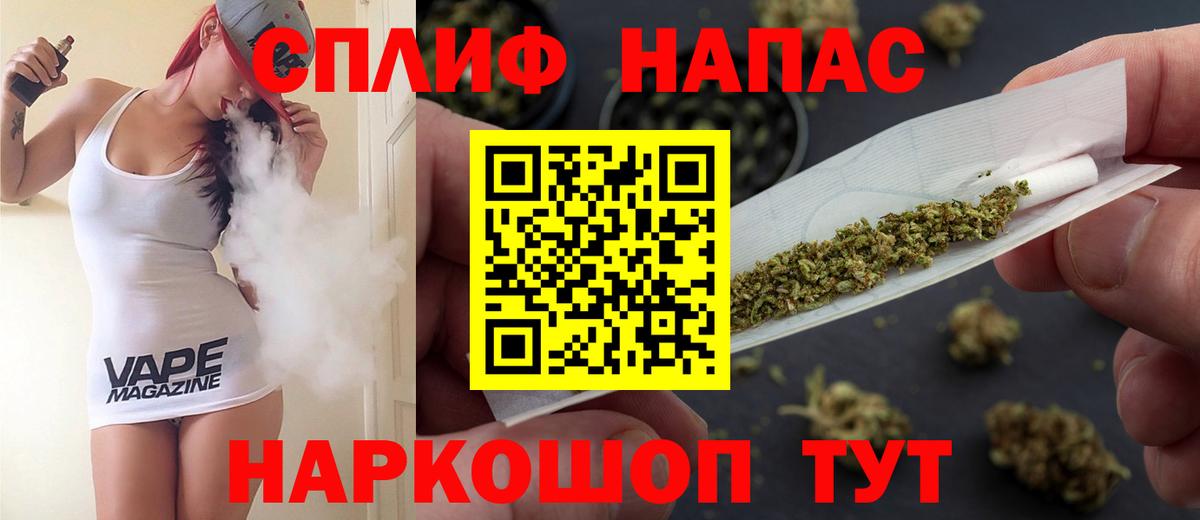 Бошки Шишки ГИДРОПОН  Вход с VPN  Элиста  Бошки марихуана сатива  Марихуана планчик  Бошки марихуана AK-47 